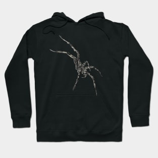 Fishing Spider w/ Six Legs (No Outline) Hoodie